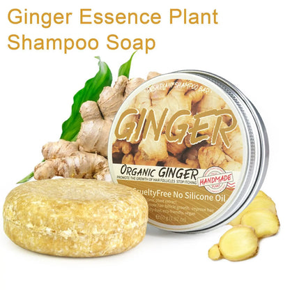 Ginger Polygonum Soap Shampoo Soap Cold Processed Soap Hair Shampoo