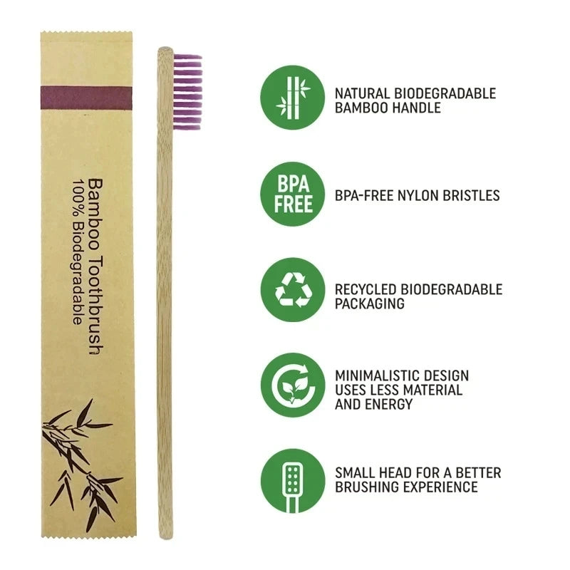 Brosses à dents en bambou – Pack familial